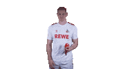 1 Fc Cologne Football Sticker by 1. FC Köln