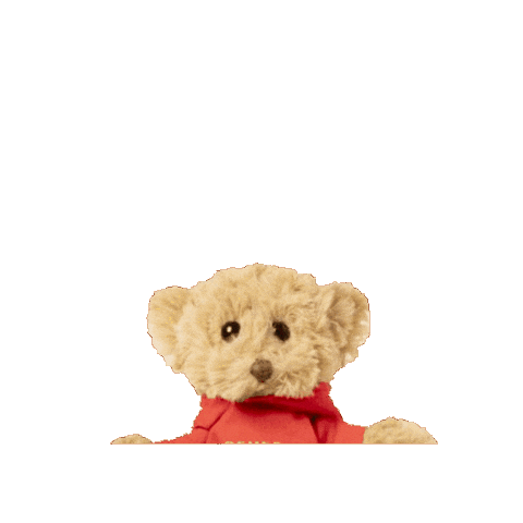 Bear Portugal Sticker by Vencer Capacitação