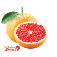 Grapefruit Sticker by Winter Sweetz