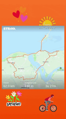 ritaverduin  GIF