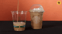 Pumpkin Spiced Latte