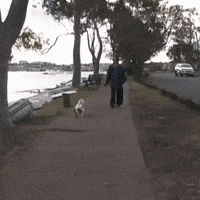 Hannah Bahng GIF