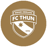 Super League Meister Sticker by Stadt Thun