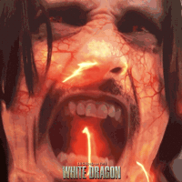 Power Rangers White Dragon GIF by Signature Entertainment