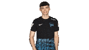 Hertha Bsc Hello Sticker by Bundesliga