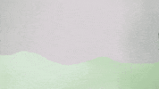 Russell Wilson Football GIF by Seattle Seahawks