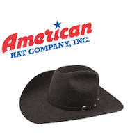 american horse Sticker by Katie