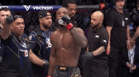 Leon Edwards Sport GIF by UFC