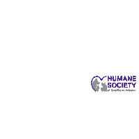 HSSA cat dog animal puppy Sticker