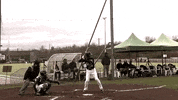 Batting Black Rickers GIF by Black Rickers Baseball Softball Club