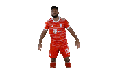 Happy Dance Sticker by FC Bayern Munich