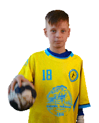 Handball Hazena Sticker by Házená Louny