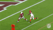 Arizona Cardinals Football GIF by NFL