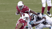 Arizona Cardinals Football GIF by NFL