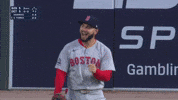 Red Sox Wow GIF by MLB
