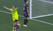 Washingtonspirit GIF by National Women's Soccer League