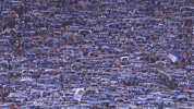 Fans Support GIF by FC Schalke 04