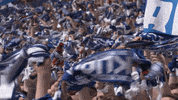 Football Soccer GIF by FC Schalke 04