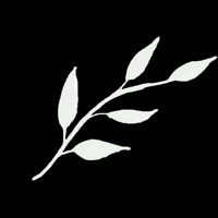 findmebeingme tea tag books leaf GIF