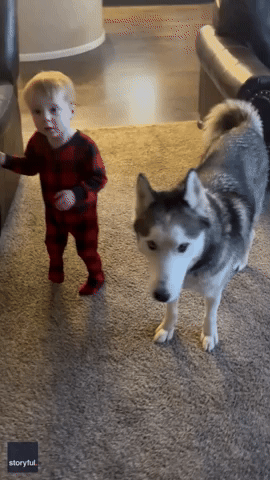 Dog Patiently Tries to Teach Toddler to Howl
