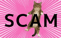 mgtne cat warning alert ねこ GIF