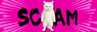 mgtne cat warning alert ねこ GIF