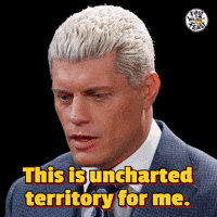 Cody Rhodes Wwe GIF by First We Feast