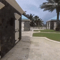 Jeffrey GIF