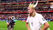 World Cup Fans GIF