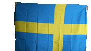 Euro 2020 Sweden Sticker by Jake Martella