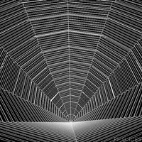 black and white spiral GIF by Pi-Slices