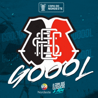 Santa Cruz GIF by TV Jornal Interior