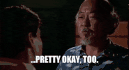 The Karate Kid GIF