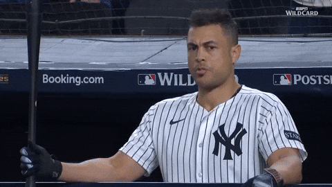 New York Yankees Sport GIF by MLB