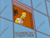 homer simpson GIF