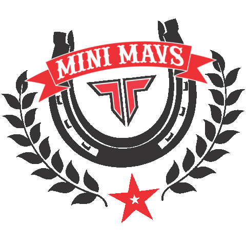tumbletech giphyupload techcheer tech cheer mini mavs Sticker