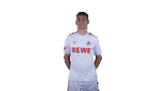 1 Fc Cologne Football Sticker by 1. FC Köln