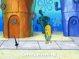 season 8 episode 6 GIF by SpongeBob SquarePants