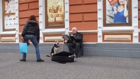 Adorable Dog Sings Along with Street Performer
