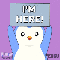 Here I Am GIF by Pudgy Penguins