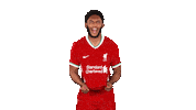 Celebrate Premier League Sticker by Liverpool FC