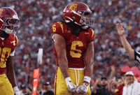 University Of Southern California Touchdown GIF by USC Trojans