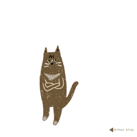 mihuachen cat sunny mihua GIF