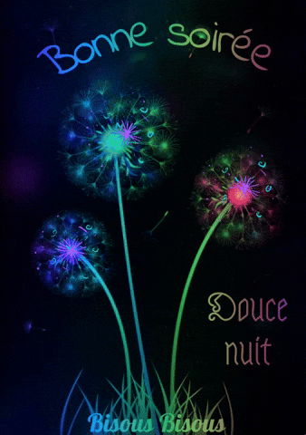 kikoo5fbb giphyattribution bonne nuit bonne soirée GIF