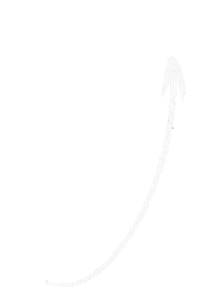 Personizer arrow whitearrow personizer pointhere Sticker