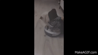 just GIF