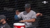 Happy New York Yankees GIF by YES Network