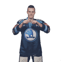 Heart Hockey Sticker by HC Škoda Plzeň