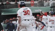 Celebrate Go Tigers GIF by Clemson Tigers