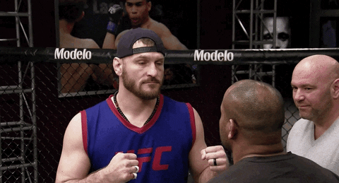 face off fighting GIF by UFC